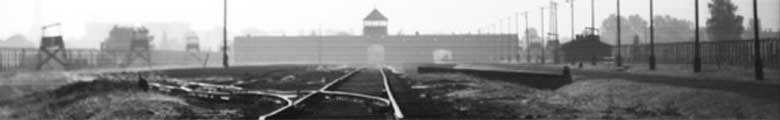 auschwitz gleise